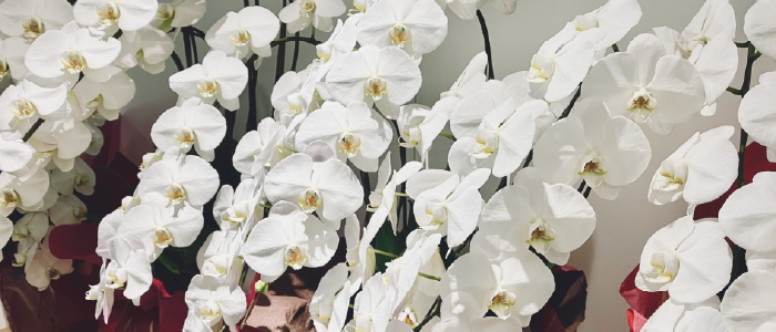 アートボード 1 のコピー 6